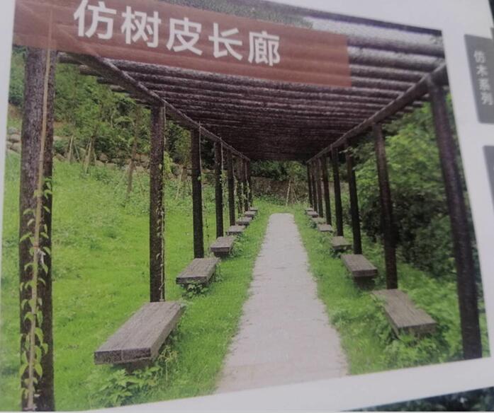 ��ľ����