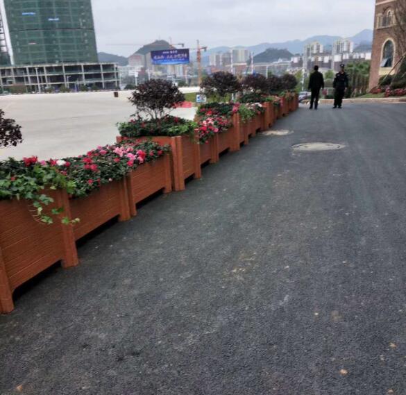 ��ľ����