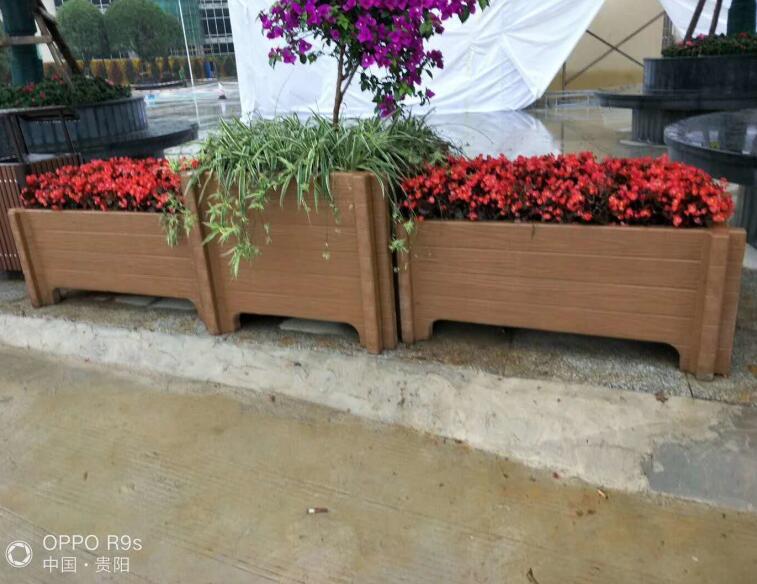 ��ľ����