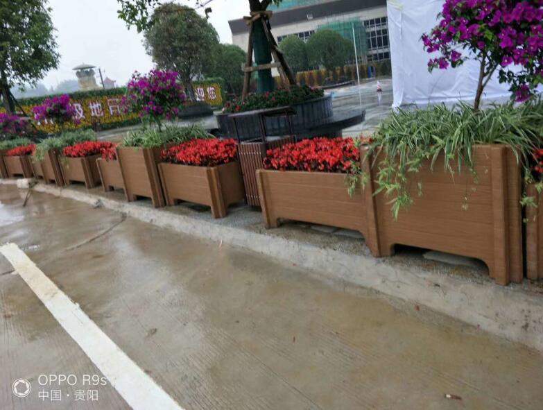 ��ľ����