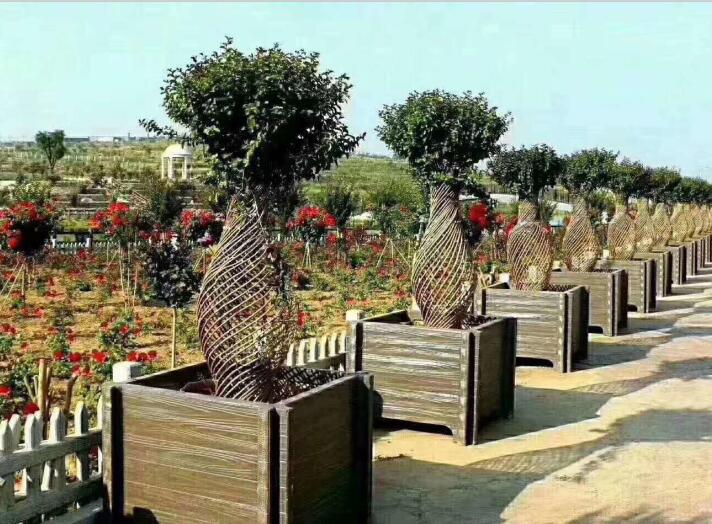 ��ľ����