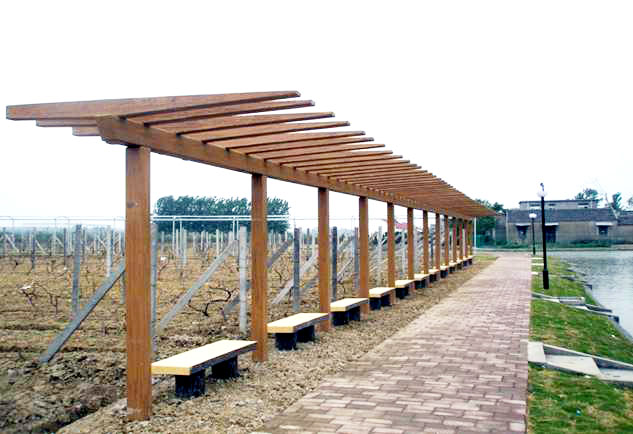 ��ľ���Ѽܡ�����