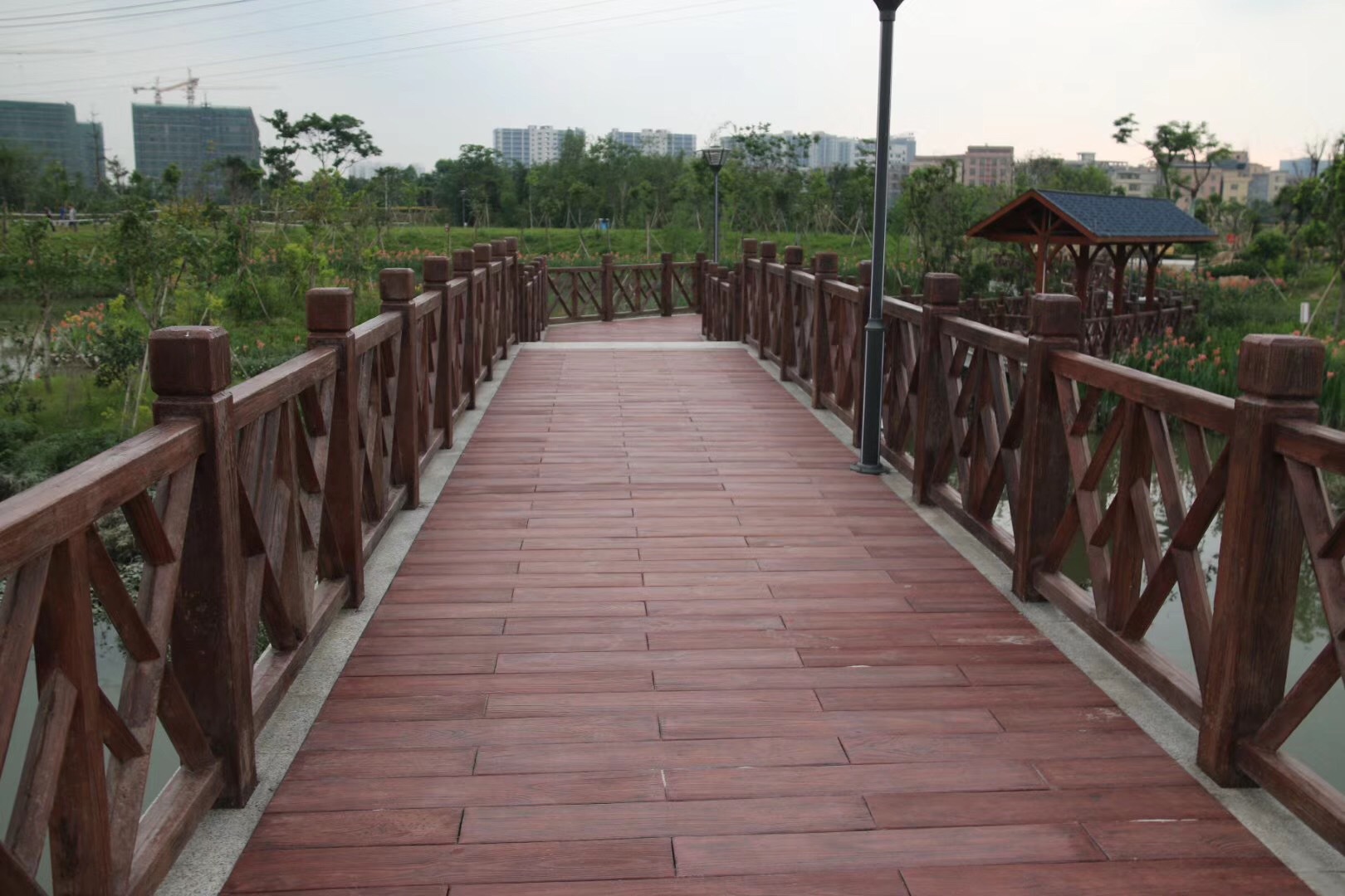 ��ľ����